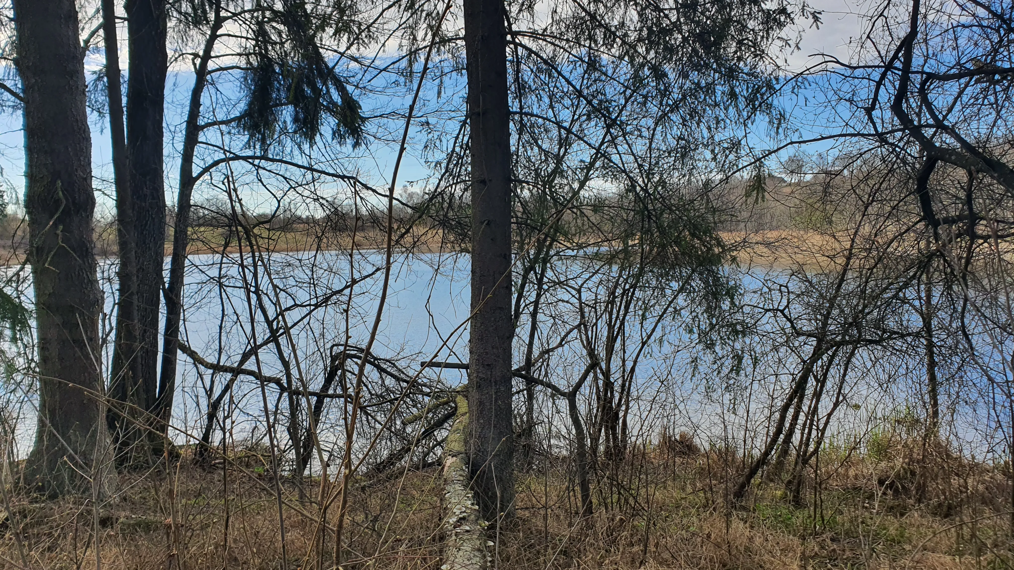 Candidate for Spring 2.